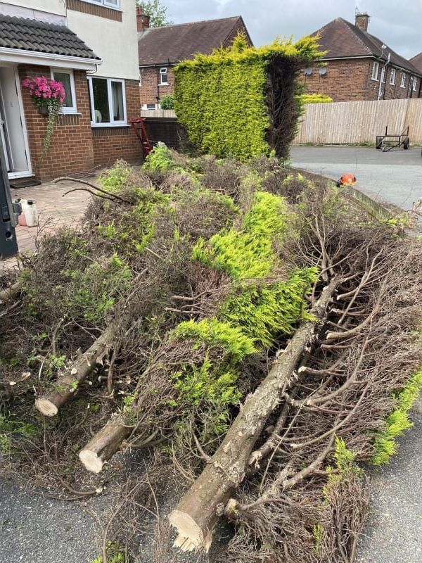 Tree Surgeons in Lancashire